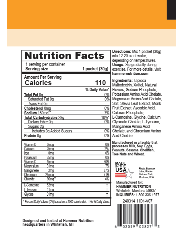 Hammer Nutrition - Box of 12 Single Servings, HEED 2.0, Orange