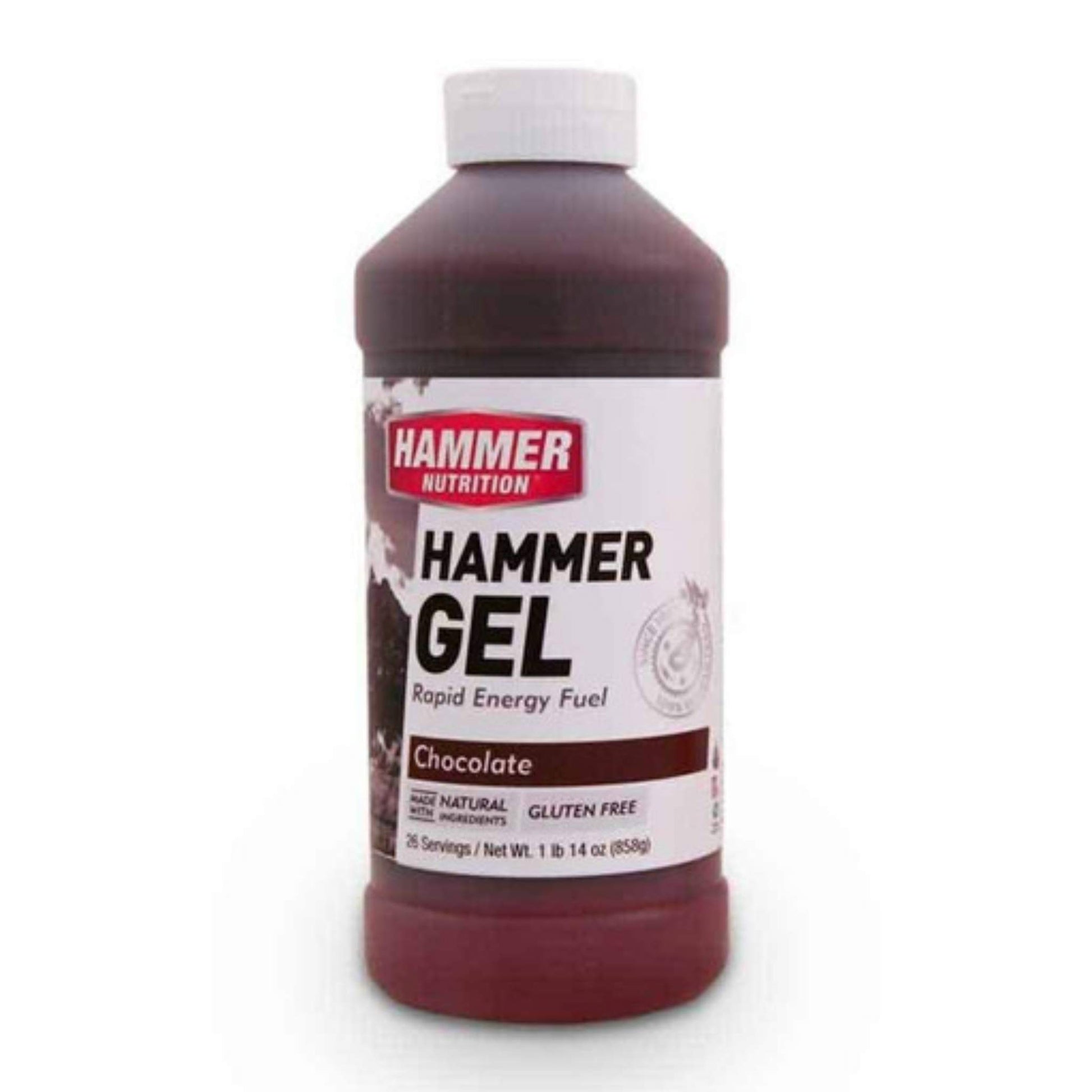 Hammer Nutrition Endurance Gel, 26 Serving Jug, Chocolate, Team Perfect
