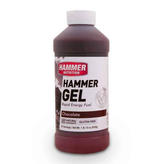 Hammer Nutrition Endurance Gel, 26 Serving Jug, Chocolate, Team Perfect