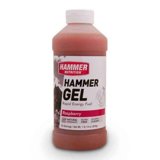 Hammer Nutrition Endurance Gel, 26 Serving Jug, Raspberry, Team Perfect