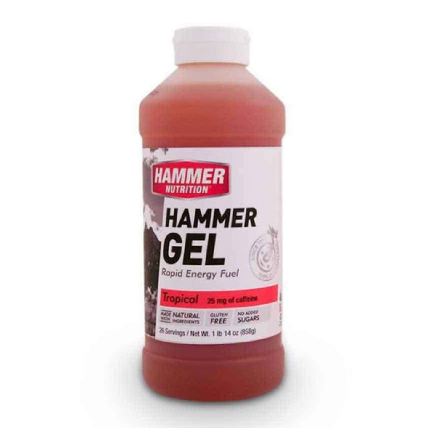Hammer Nutrition Endurance Gel, 26 Serving Jug, Tropical, Team Perfect