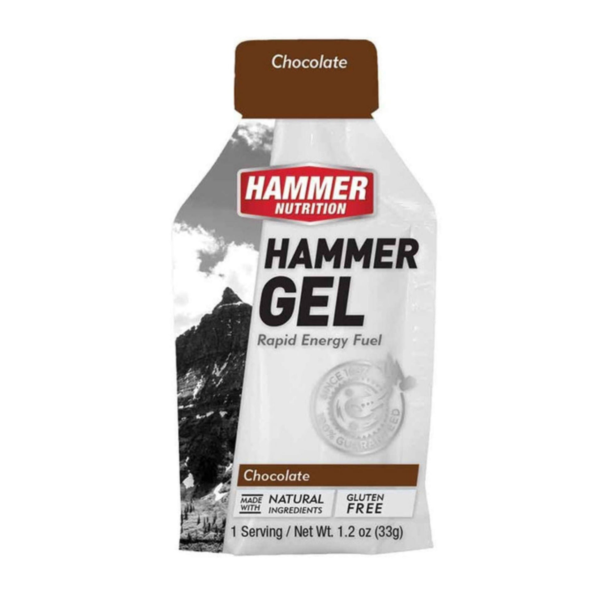 Hammer Nutrition Endurance Gel, Single Serving, Chocolate, Team Perfect