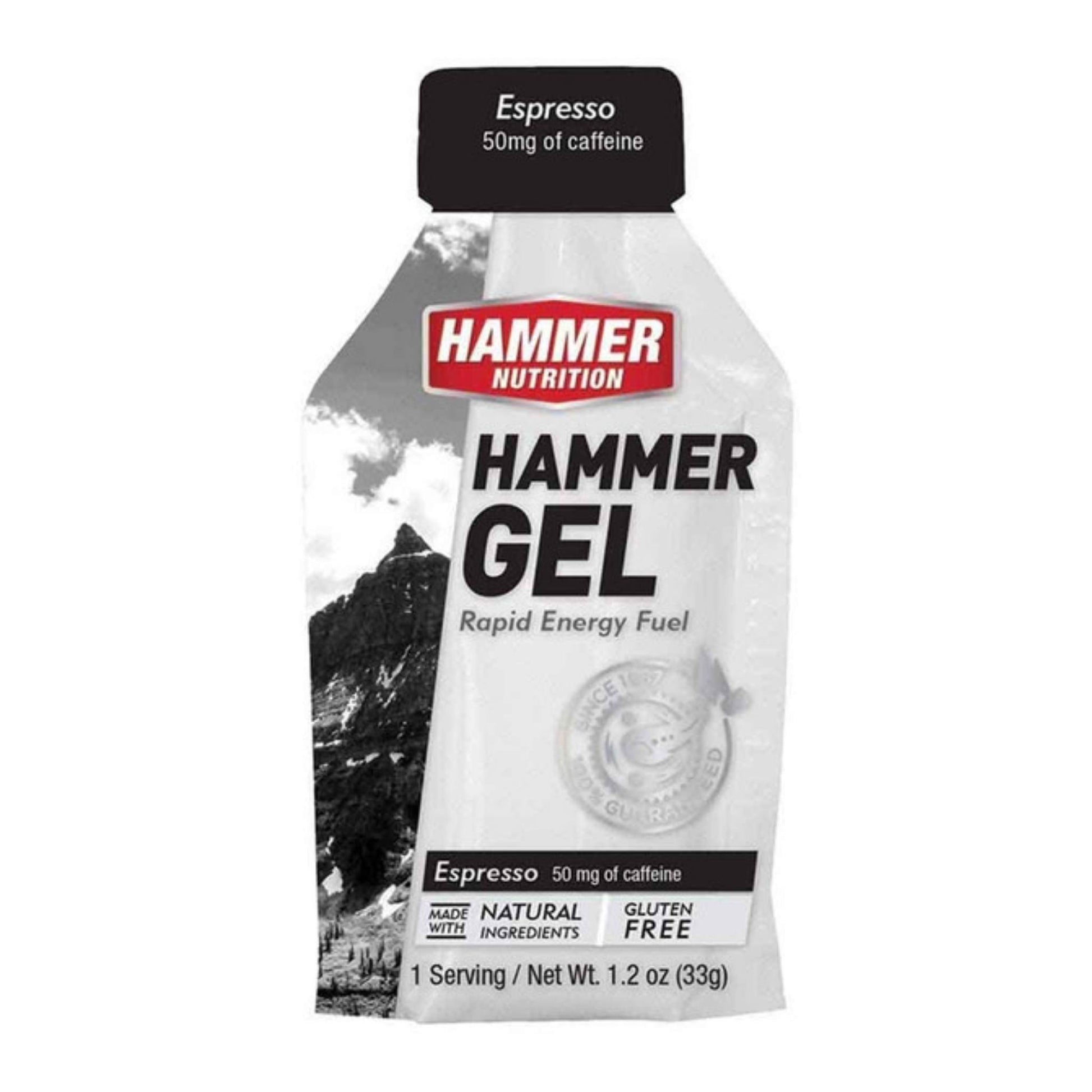 Hammer Nutrition Endurance Gel, Single Serving, Espresso, Team Perfect
