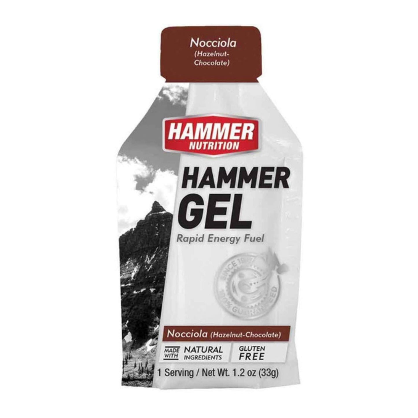Hammer Nutrition Endurance Gel, Single Serving, Nocciola, Team Perfect