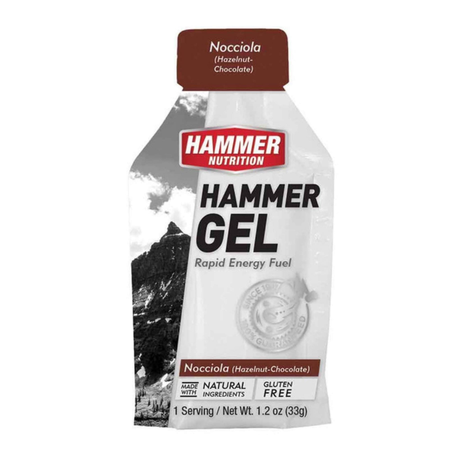 Hammer Nutrition Endurance Gel, Single Serving, Nocciola, Team Perfect