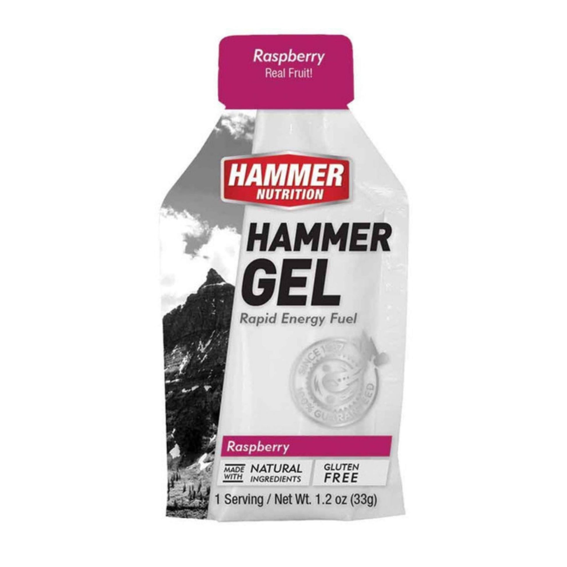Hammer Nutrition Endurance Gel, Single Serving, Raspberry, Team Perfect
