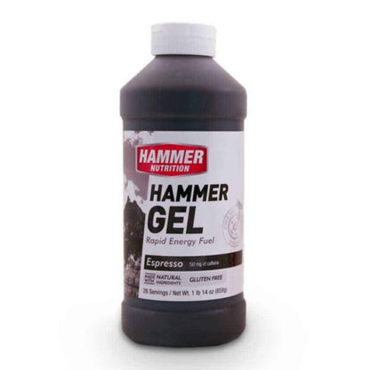 Hammer Nutrition Endurance Gel, 26 Serving Jug, Espresso, Team Perfect