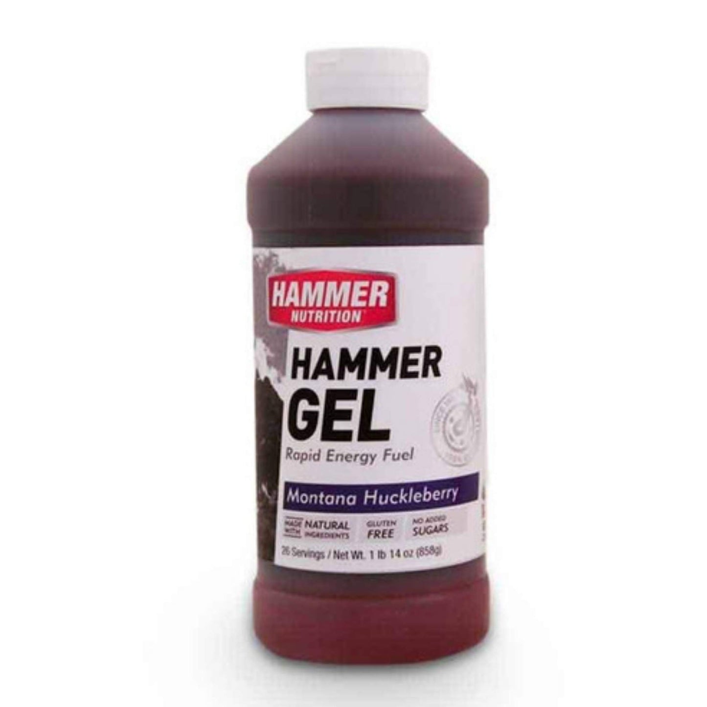 Hammer Nutrition Endurance Gel, 26 Serving Jug, Huckleberry, Team Perfect
