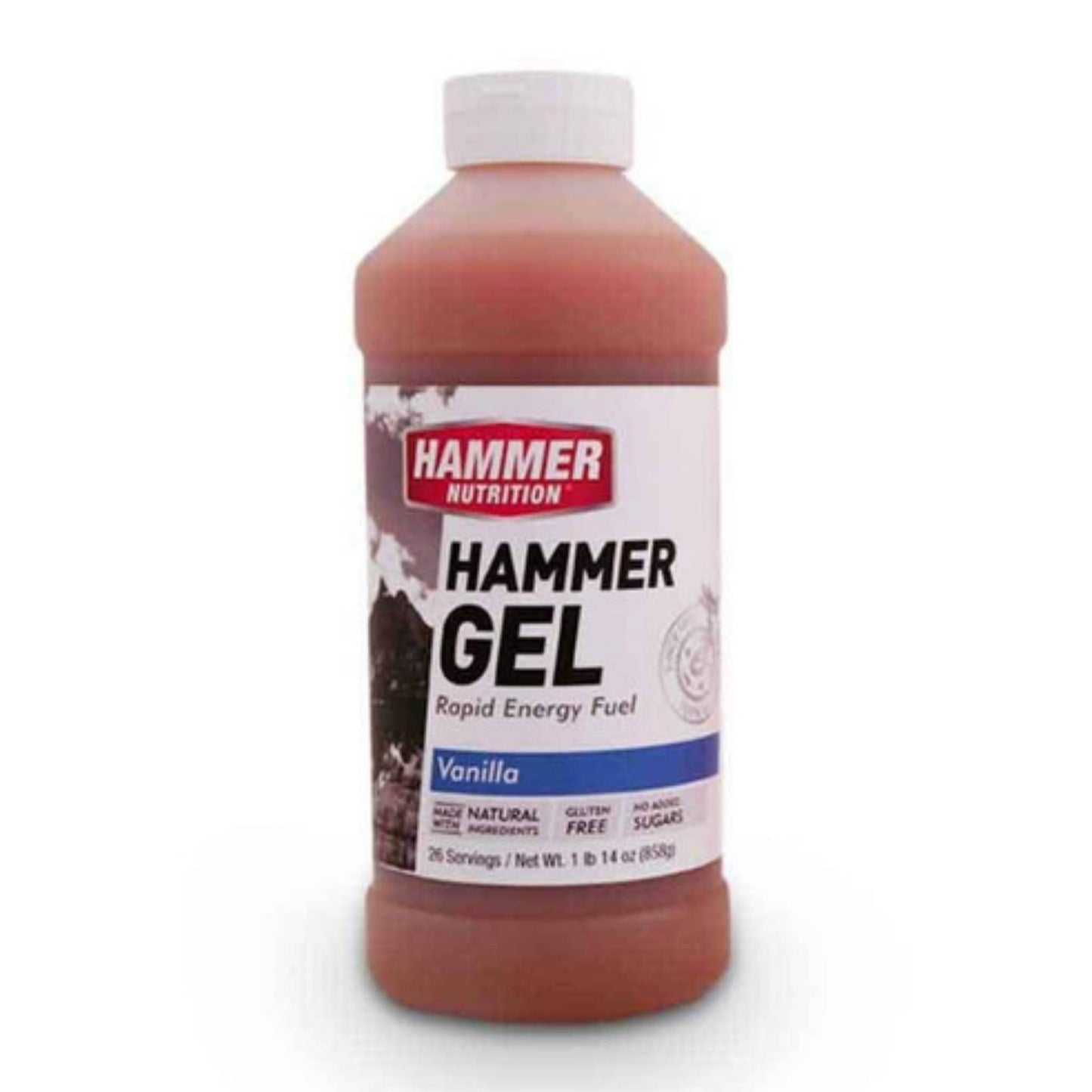 Hammer Nutrition Endurance Gel, 26 Serving Jug, Vanilla, Team Perfect