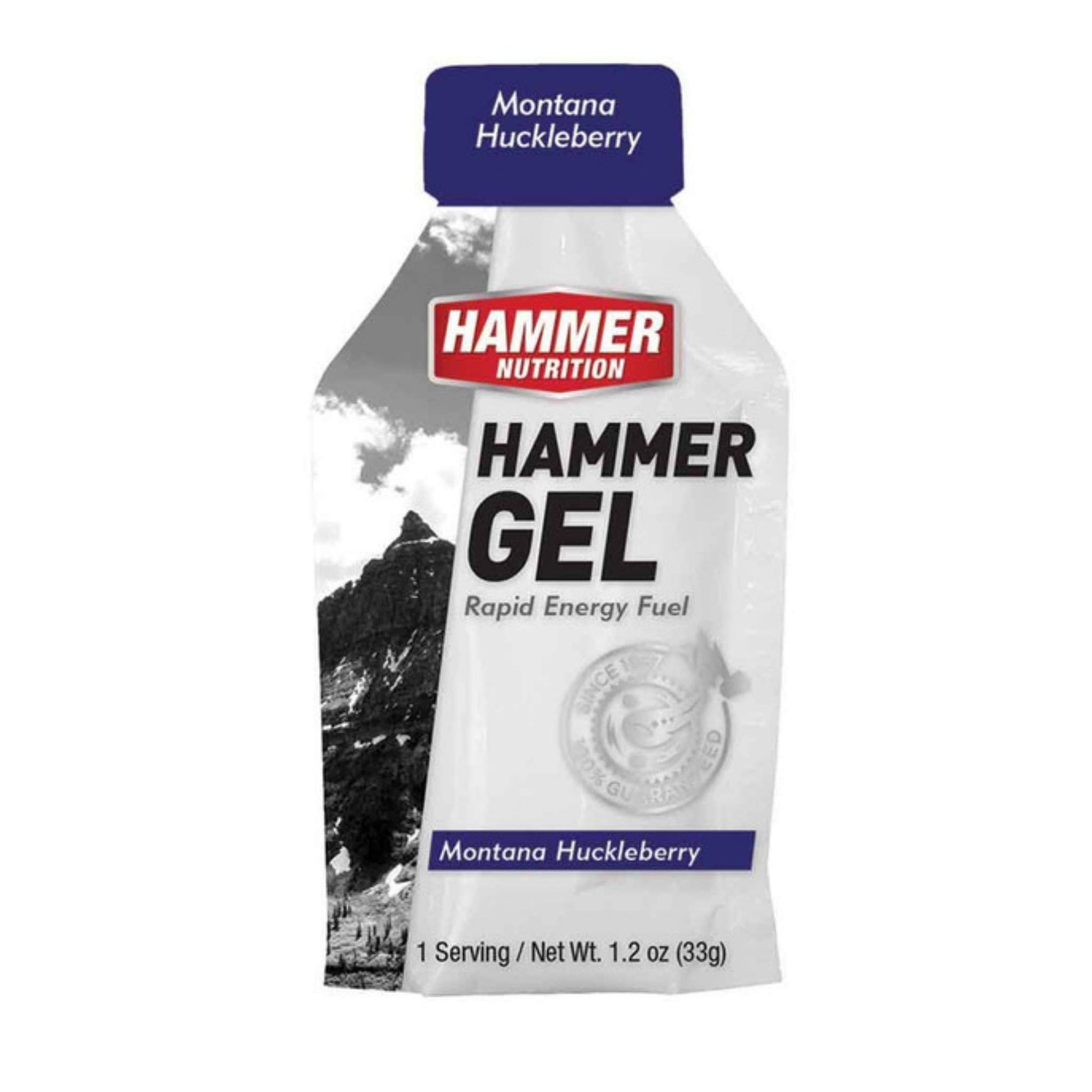 Hammer Nutrition Endurance Gel, Single Serving, Huckleberry, Team Perfect
