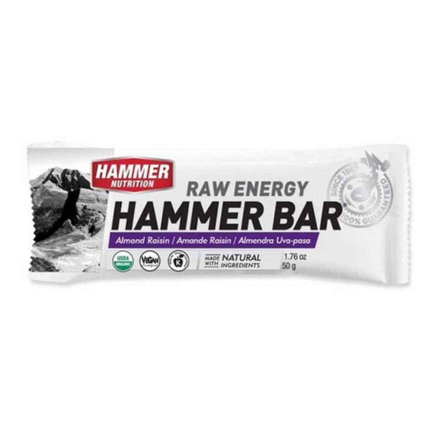 Hammer Nutrition - Raw Energy Food Bar, Single Bar, Almond Raisin, Team Perfect