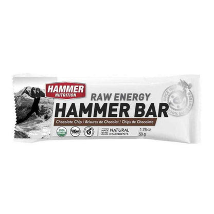 Hammer Nutrition - Raw Energy Food Bar, Single Bar, Chocolate Chip, Team Perfect