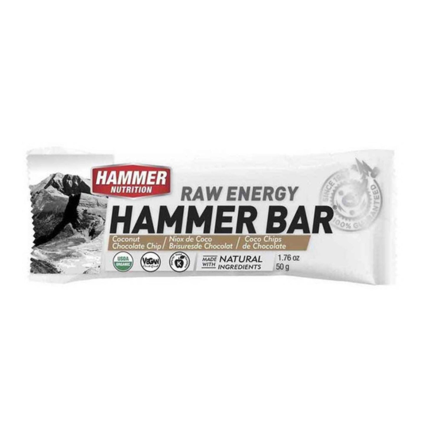 Hammer Nutrition - Raw Energy Food Bar, Single Bar, Coconut Chocolate Chip, Team Perfect