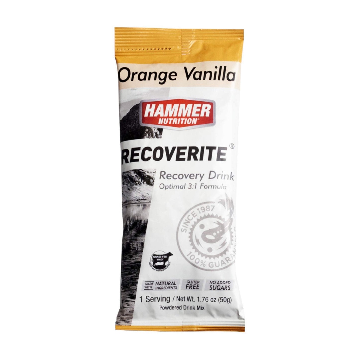 Hammer Nutrition - Recoverite, Orange Vanilla, Single Serving,, Team Perfect