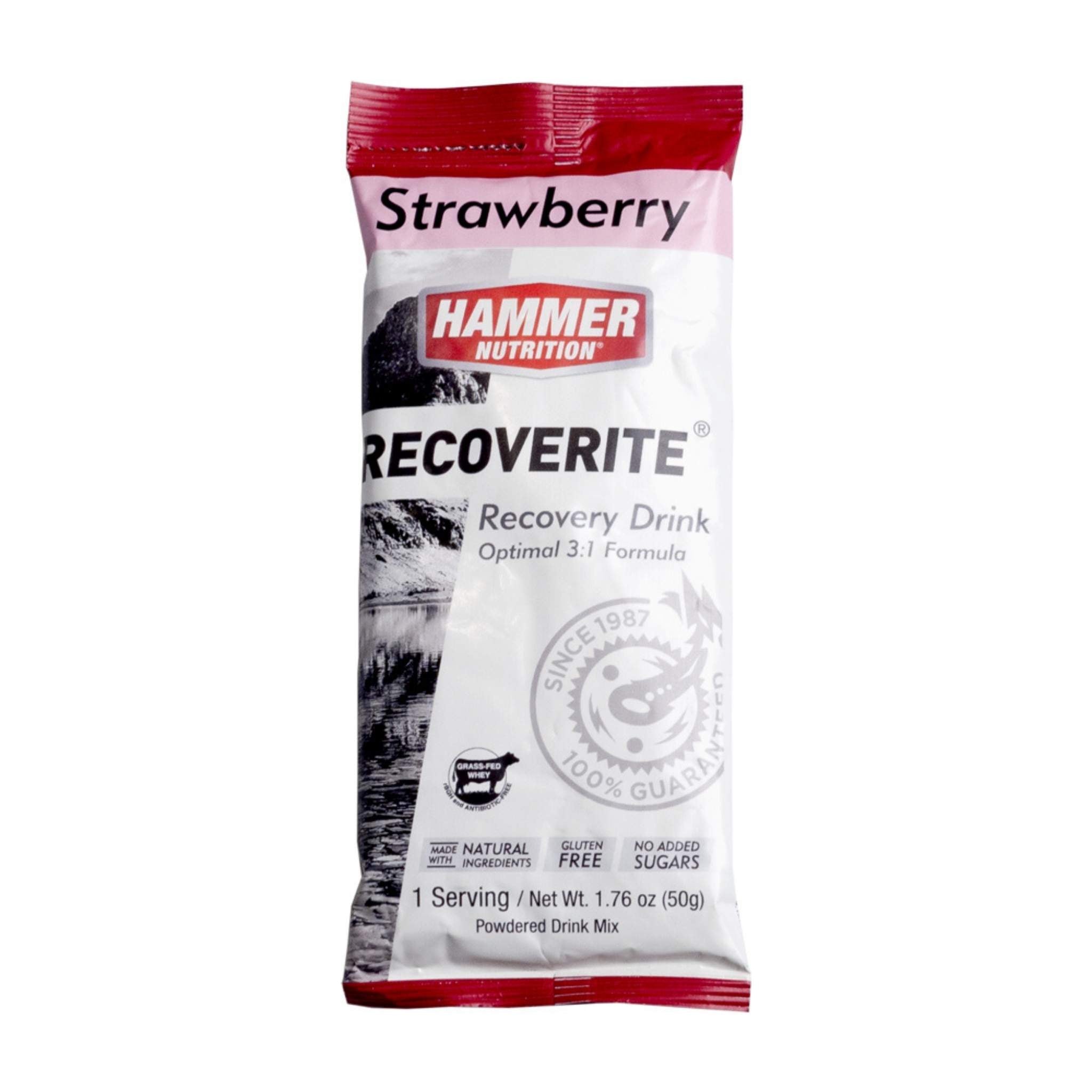 Hammer Nutrition - Recoverite, Strawberry, Single Serving, Team Perfect