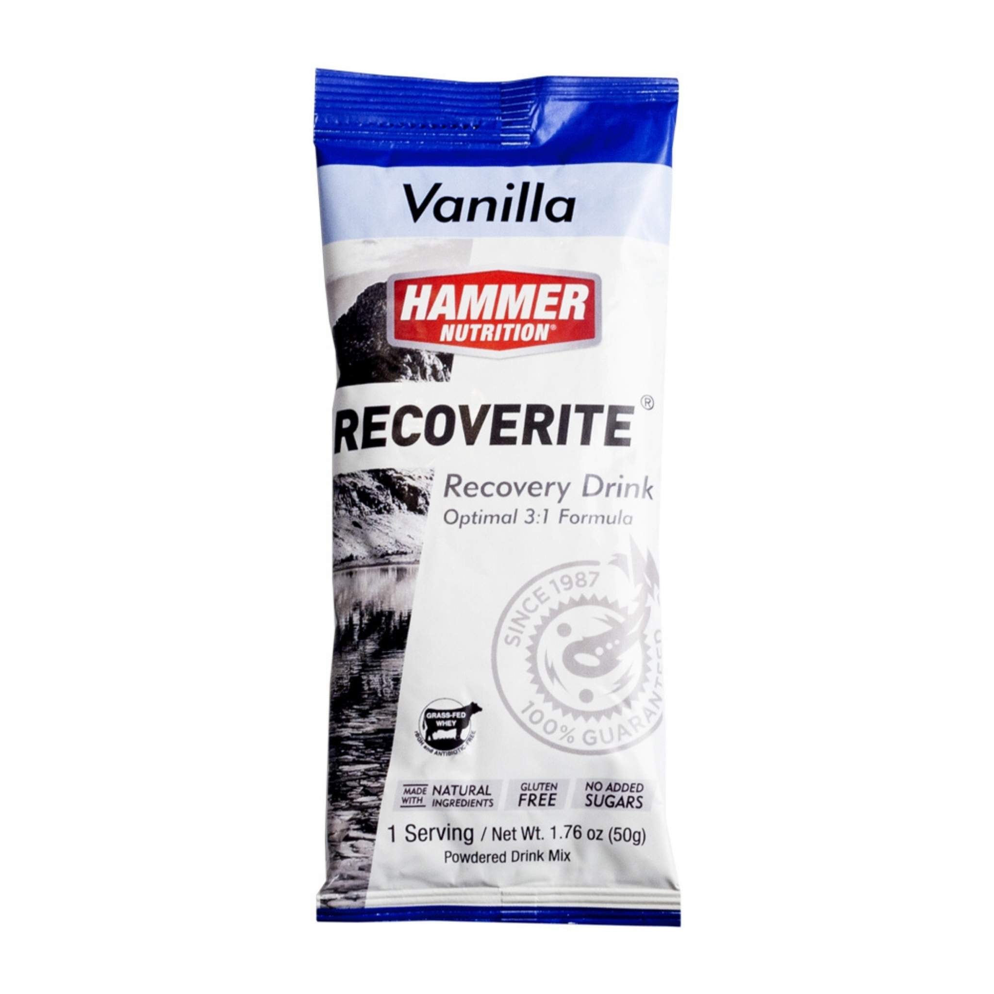 Hammer Nutrition - Recoverite, Vanilla, Single Serving, Team Perfect