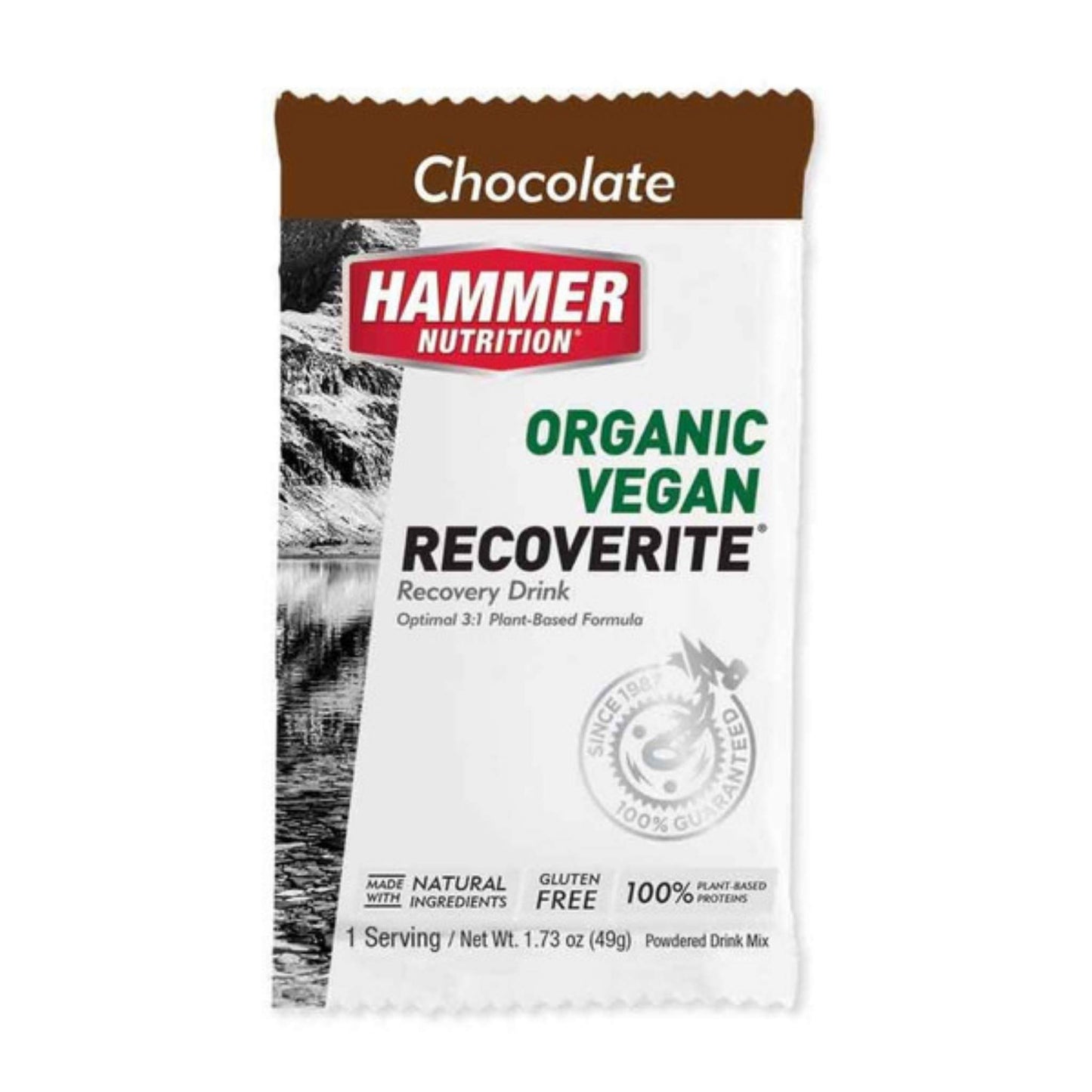 Hammer Nutrition - Vegan Recoverite, Chocolate, Single Serving, Team Perfect