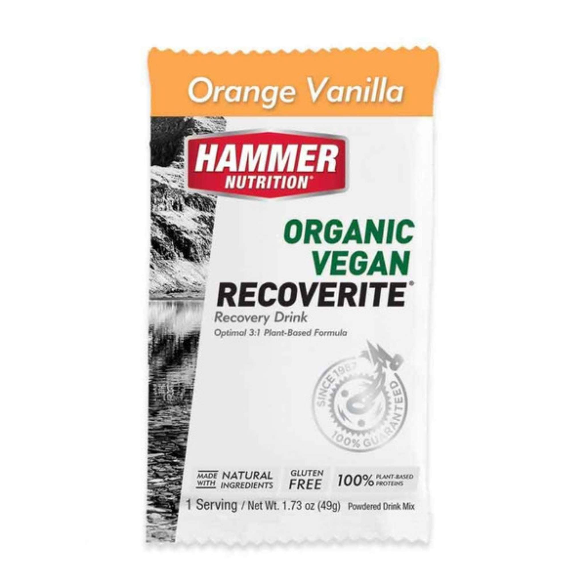 Hammer Nutrition - Vegan Recoverite, Orange Vanilla, Single Serving, Team Perfect