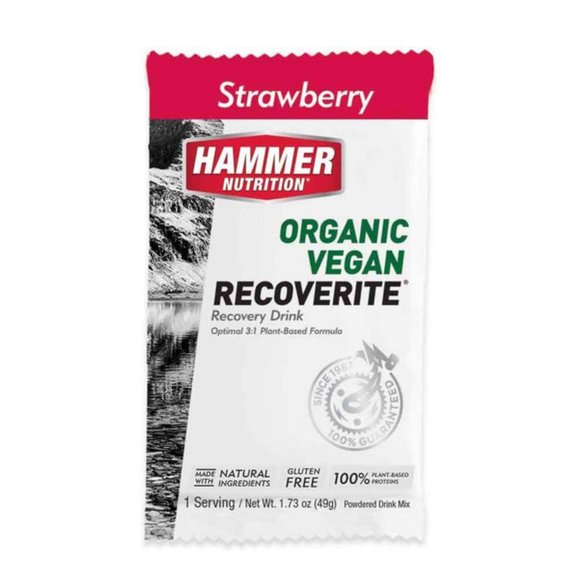 Hammer Nutrition - Vegan Recoverite, Strawberry, Single Serving, Team Perfect