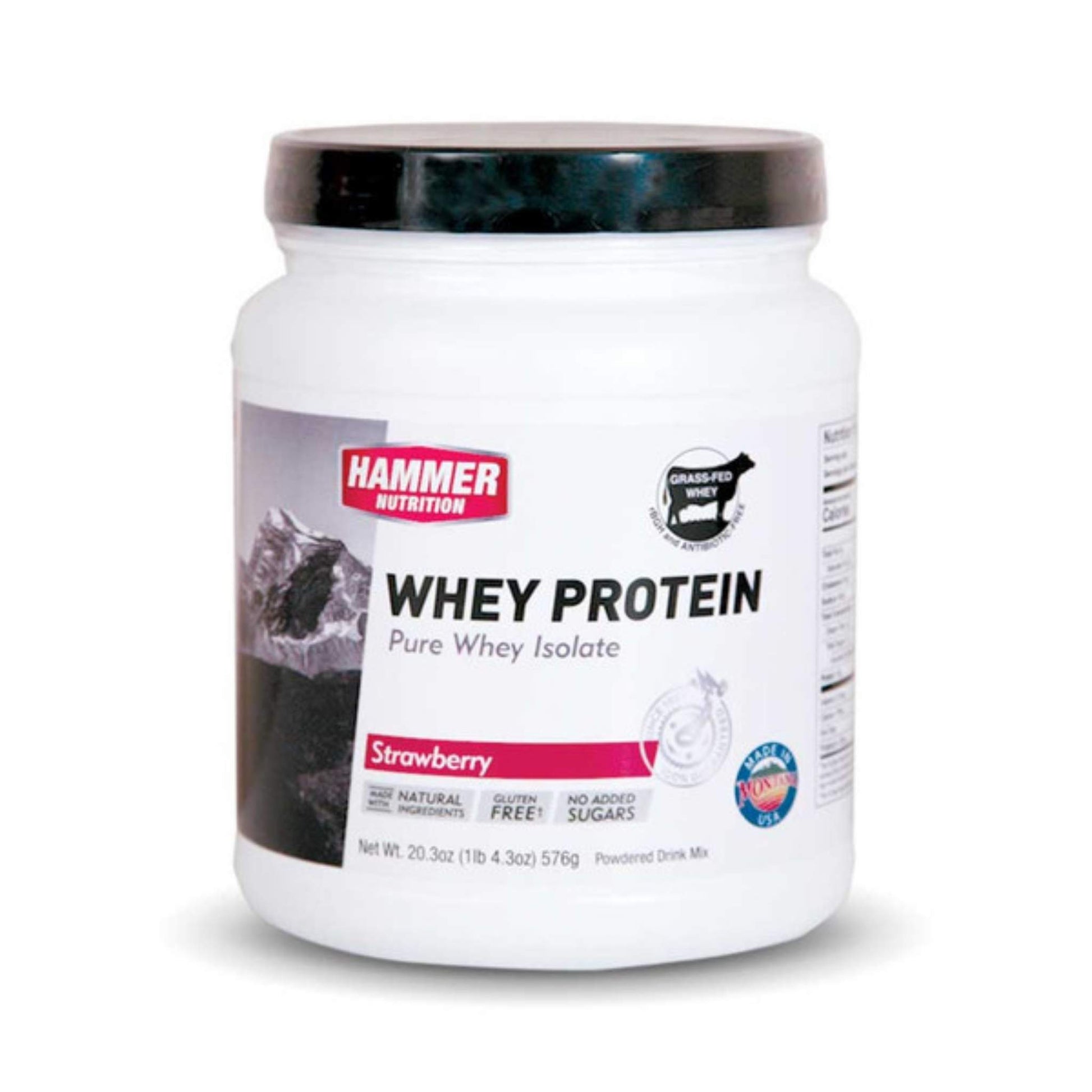 Hammer Nutrition - Whey Protein, Strawberry, 24 Servings, Team Perfect